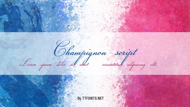 Champignon script example